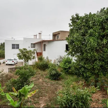 Teide إيكود ذي لوس فينوس